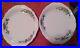 2_Vintage_Oval_Syracuse_China_Restaurant_Bombay_Plates_Scalloped_Floral_01_cltp