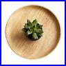 Serving_Plate_Salad_Display_Restaurant_Supply_Household_Wooden_Suitable_01_jqn