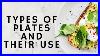 Types_Of_Plates_And_Their_Use_01_yytc