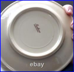 Vintage Carr Maythorne Restaurant Ware China Set 14 Plates 6 Cups 9 Saucers